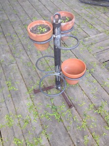 6 Pots, 3 Hangers. Standing. $60